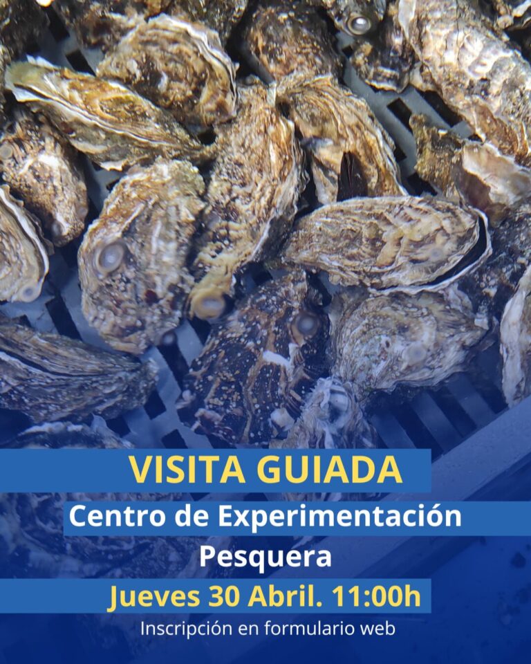 Visita guiada al Centro de Experimentación Pesquera 4 Diseno sin titulo