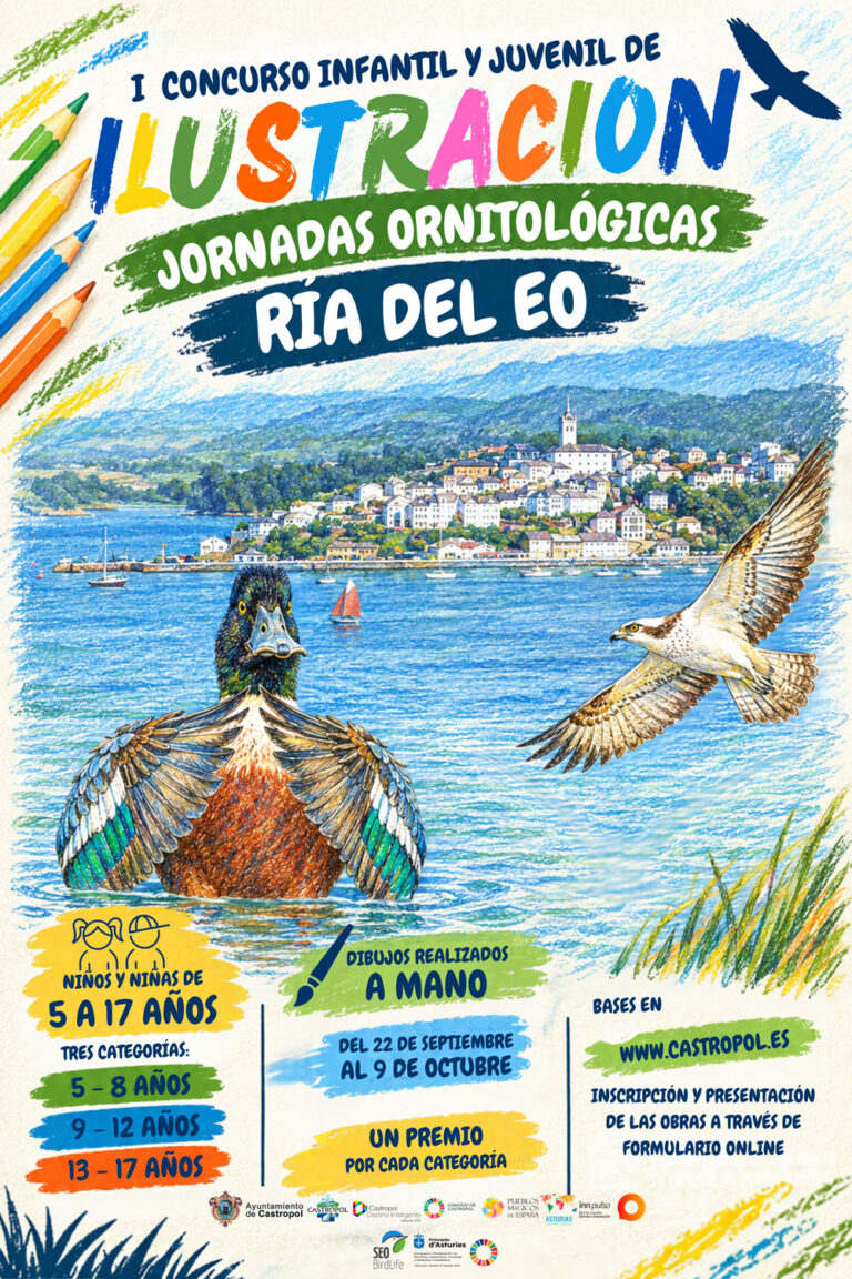 CONCURSO ILUSTRACION